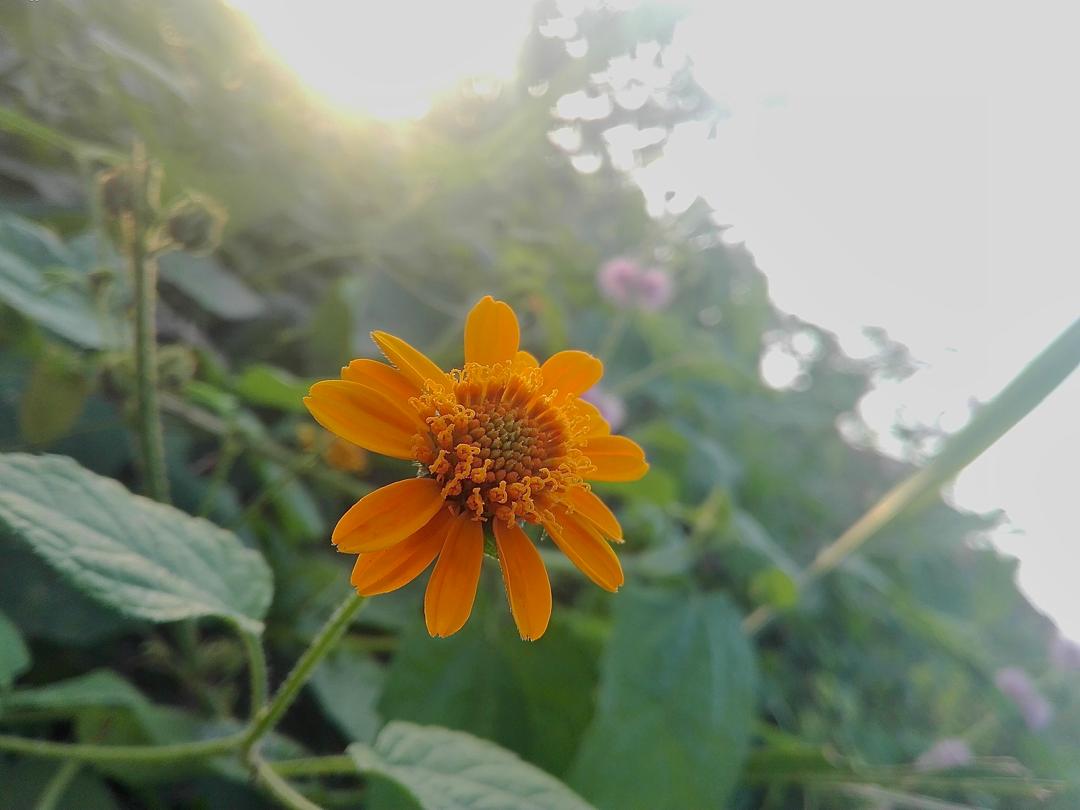 Teni Scribes - Writing and Storytelling